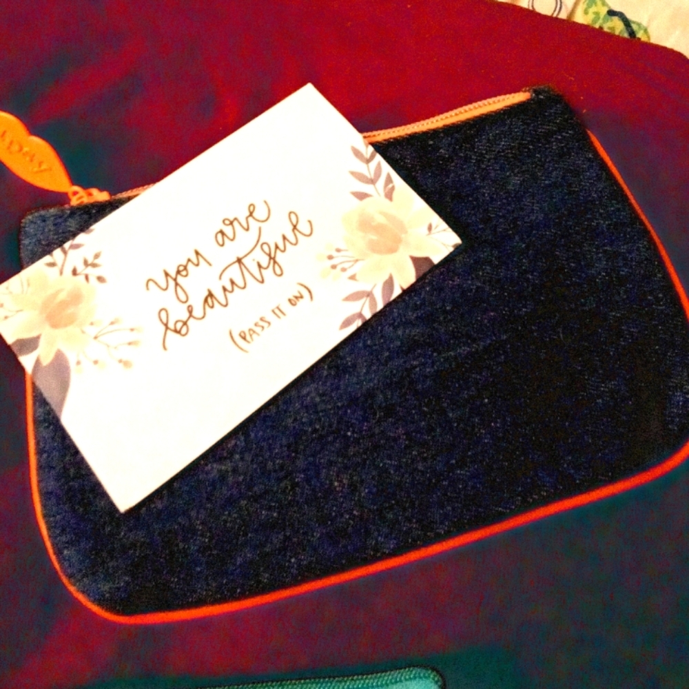 Empty Ipsy make up bag. NWOT